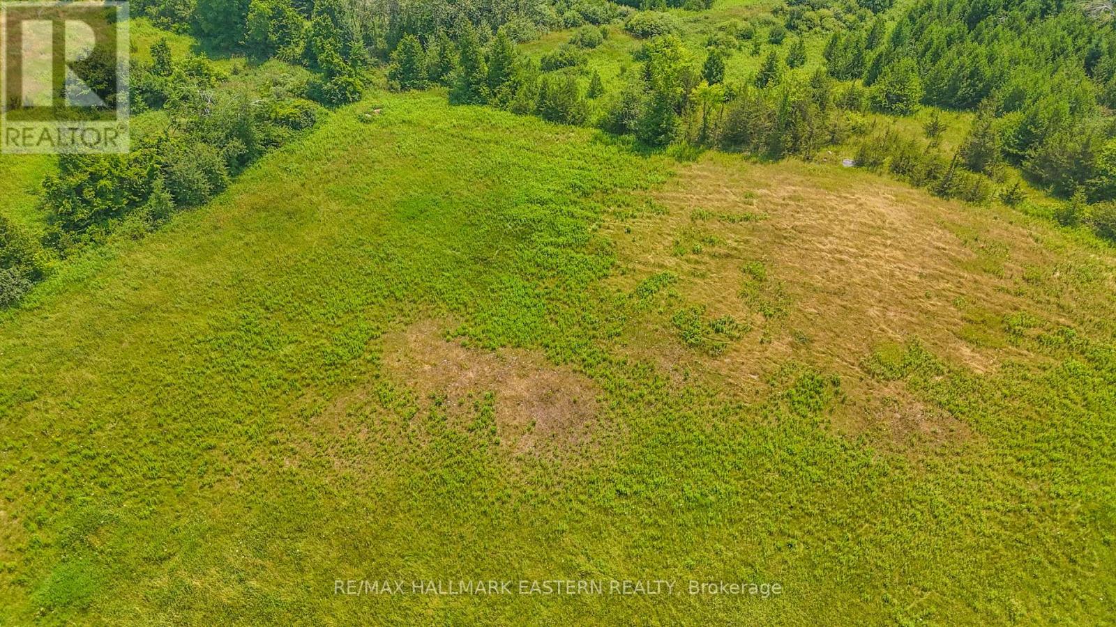 Lot 5 - N/a Con 10 Old Norwood Road, Havelock-Belmont-Methuen (Havelock), Ontario  K0L 1Z0 - Photo 3 - X12304548