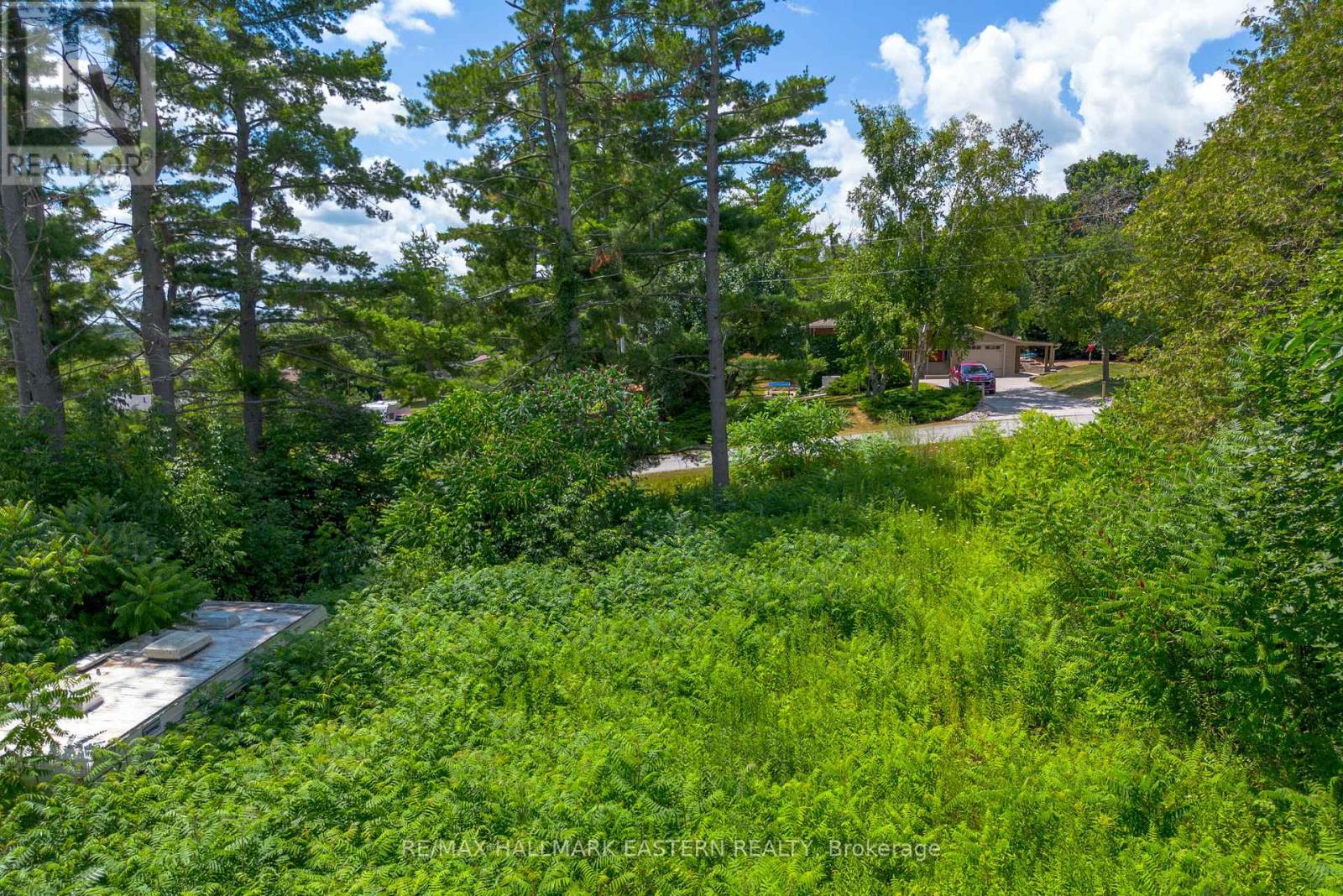 4 Killarney Road, Selwyn, Ontario  K0L 1T0 - Photo 5 - X12304657