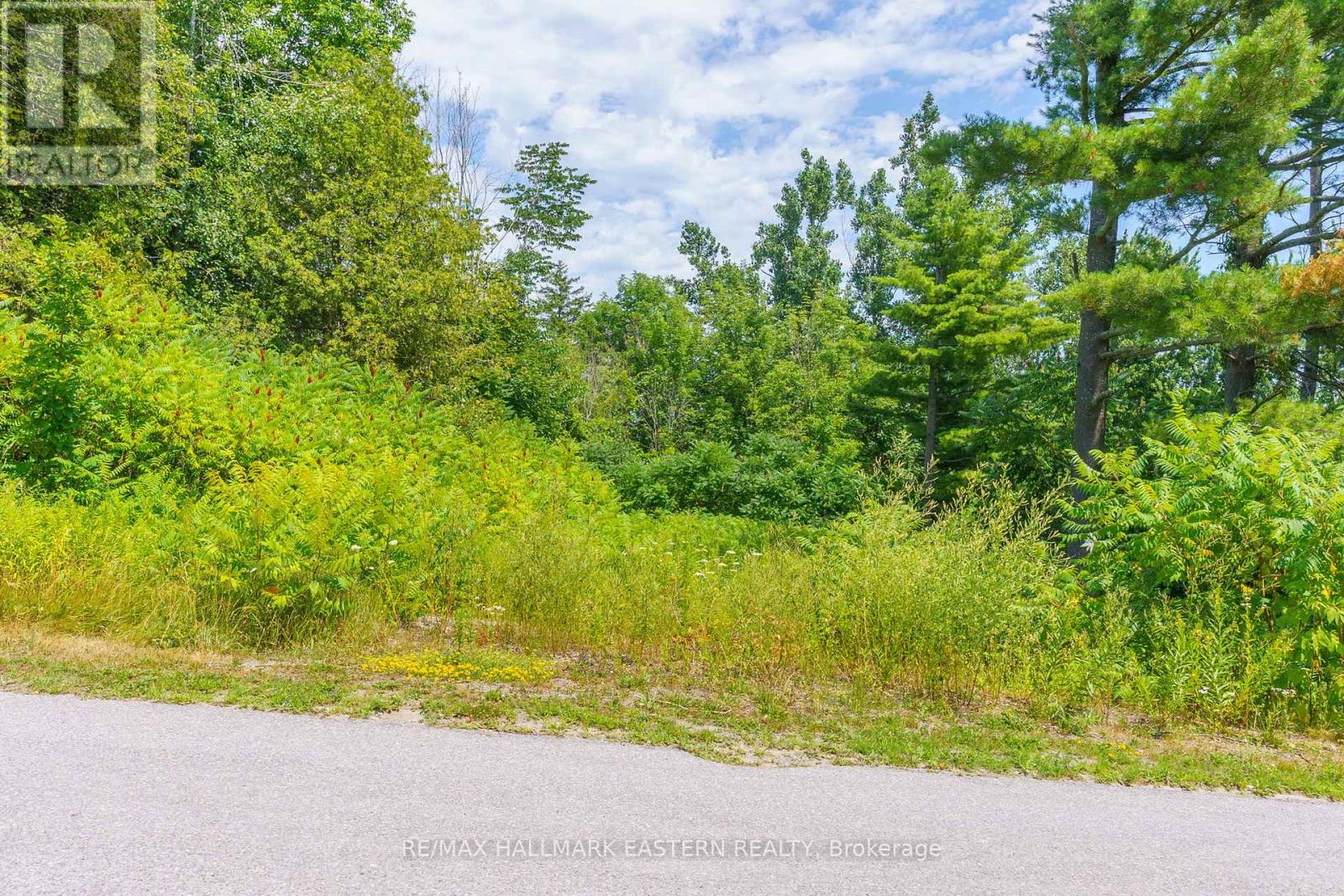 4 Killarney Road, Selwyn, Ontario  K0L 1T0 - Photo 6 - X12304657
