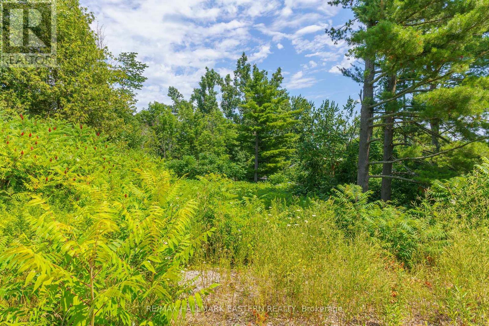 4 Killarney Road, Selwyn, Ontario  K0L 1T0 - Photo 7 - X12304657