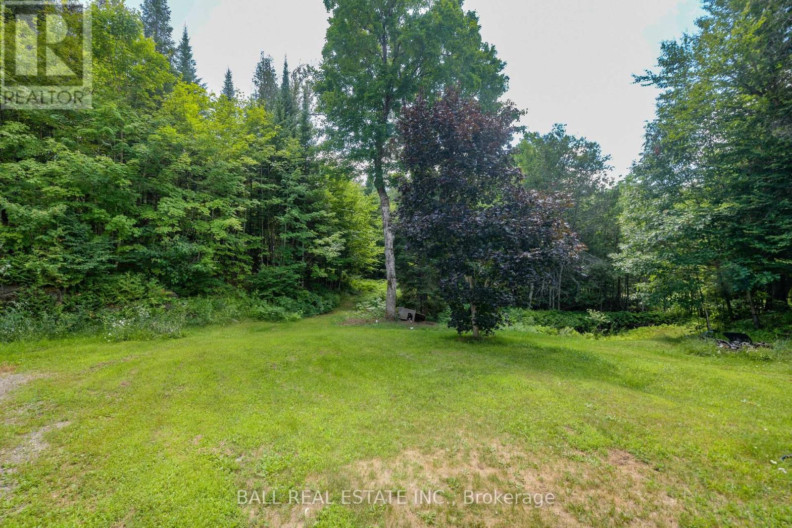 3 Graf Road, Bancroft (Dungannon Ward), Ontario  K0L 2L0 - Photo 7 - X12304923