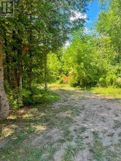 19 CARLTON CRESCENT, kawartha lakes (omemee), Ontario
