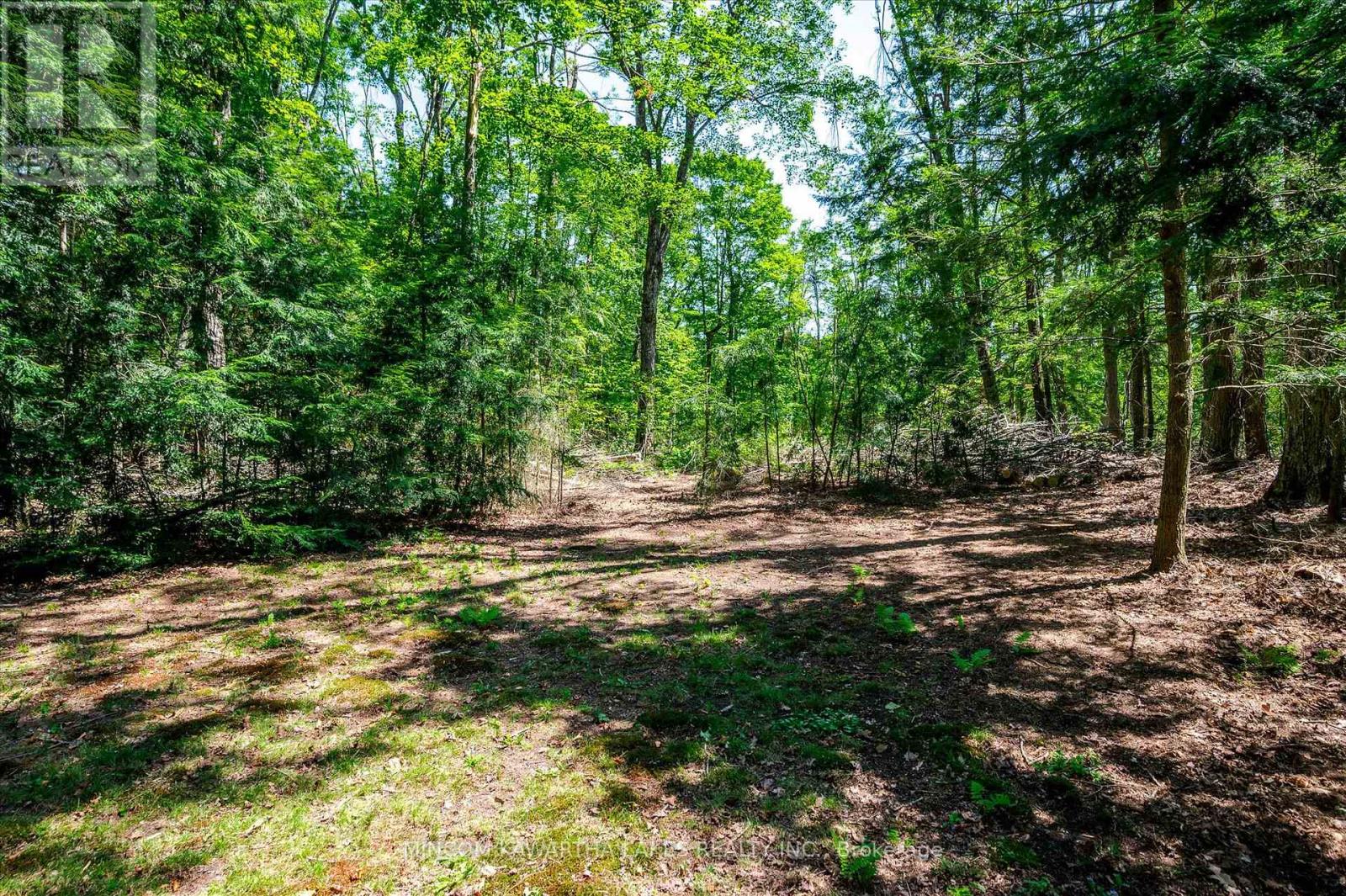 217 Pine Is Kosh Lk, Havelock-Belmont-Methuen, Ontario  K0L 2H0 - Photo 31 - X12305155