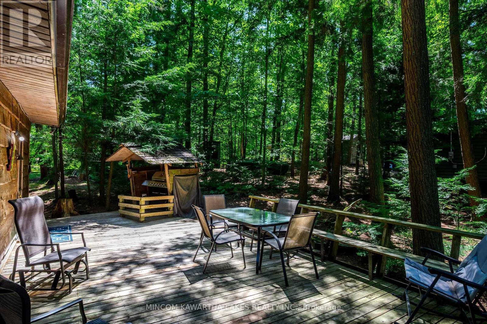 217 Pine Is Kosh Lk, Havelock-Belmont-Methuen, Ontario  K0L 2H0 - Photo 4 - X12305155