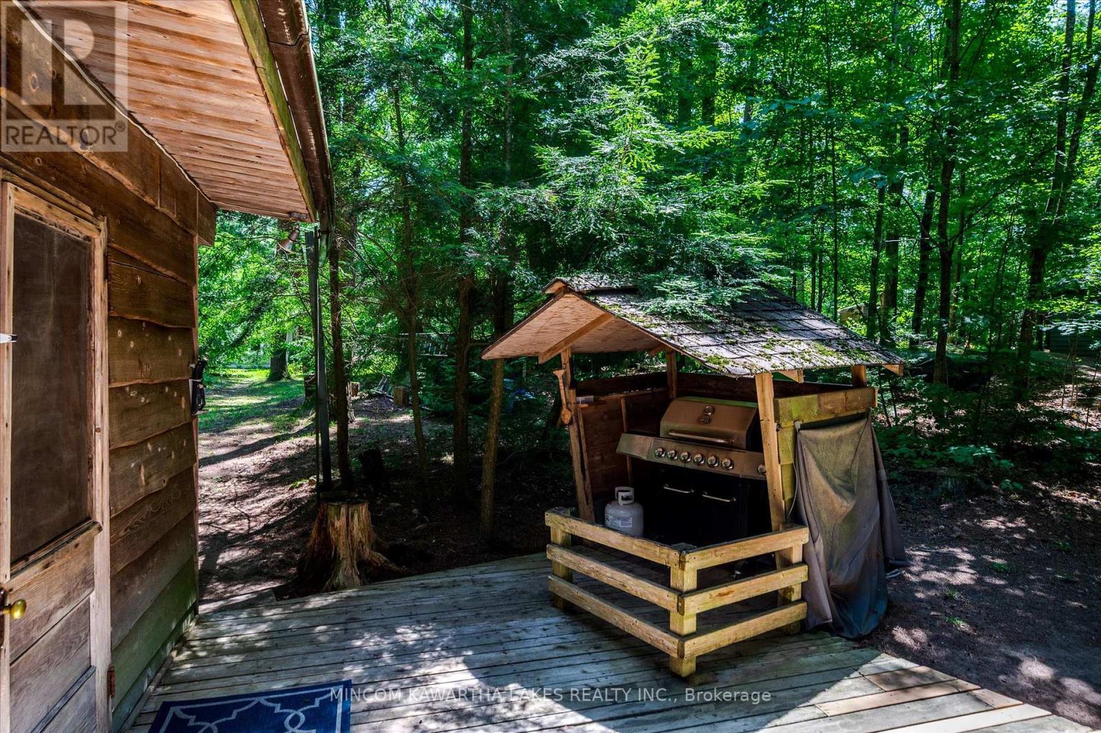 217 Pine Is Kosh Lk, Havelock-Belmont-Methuen, Ontario  K0L 2H0 - Photo 5 - X12305155