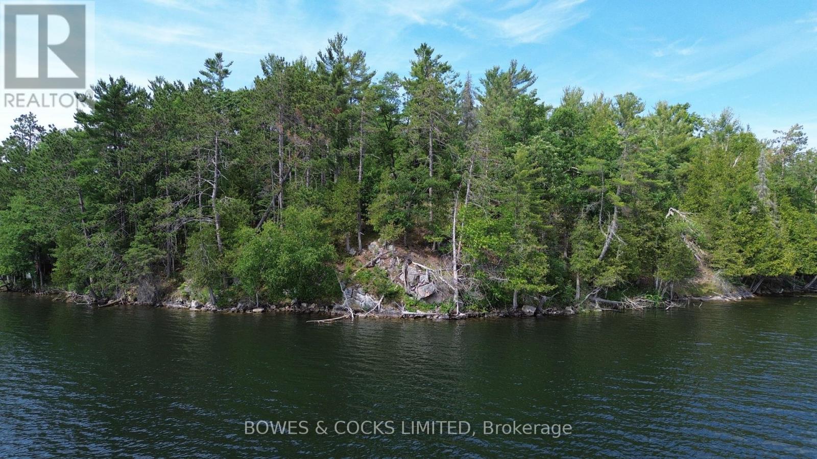 10 Fire Route 46, North Kawartha, Ontario  K0L 2H0 - Photo 6 - X12305577