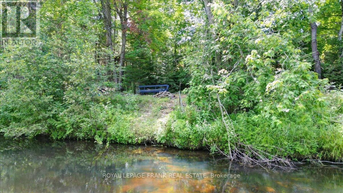 119 Mcfadden Road, North Kawartha, Ontario  K0L 1A0 - Photo 33 - X12305645