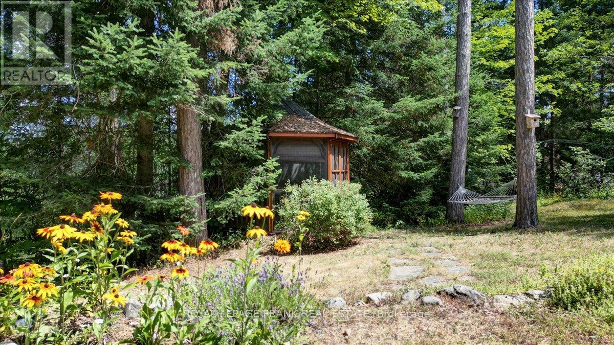 119 Mcfadden Road, North Kawartha, Ontario  K0L 1A0 - Photo 37 - X12305645