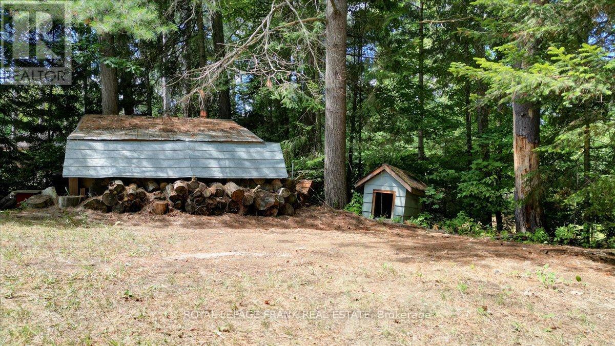 119 Mcfadden Road, North Kawartha, Ontario  K0L 1A0 - Photo 38 - X12305645