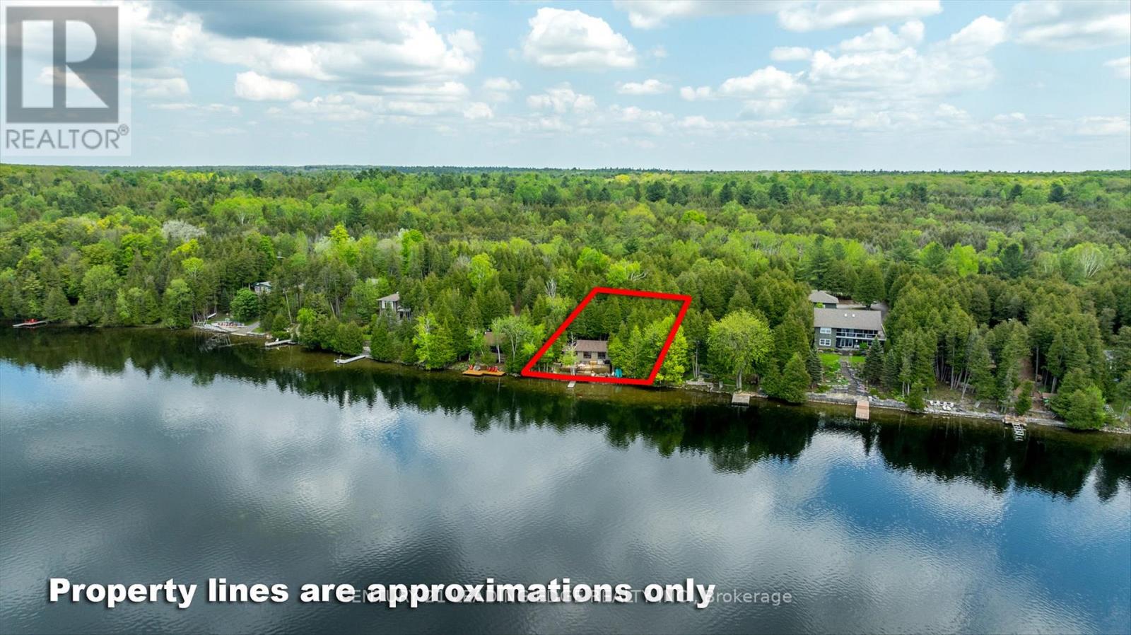 1956 White Lake Road E, Douro-Dummer, Ontario  K0L 2H0 - Photo 40 - X12307114