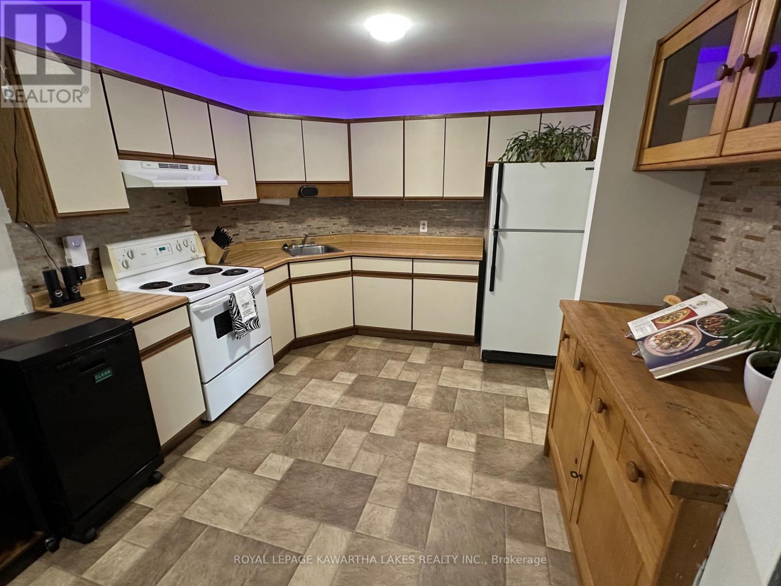 317 William Street N, Kawartha Lakes (Lindsay), Ontario  K9V 6A6 - Photo 10 - X12307505