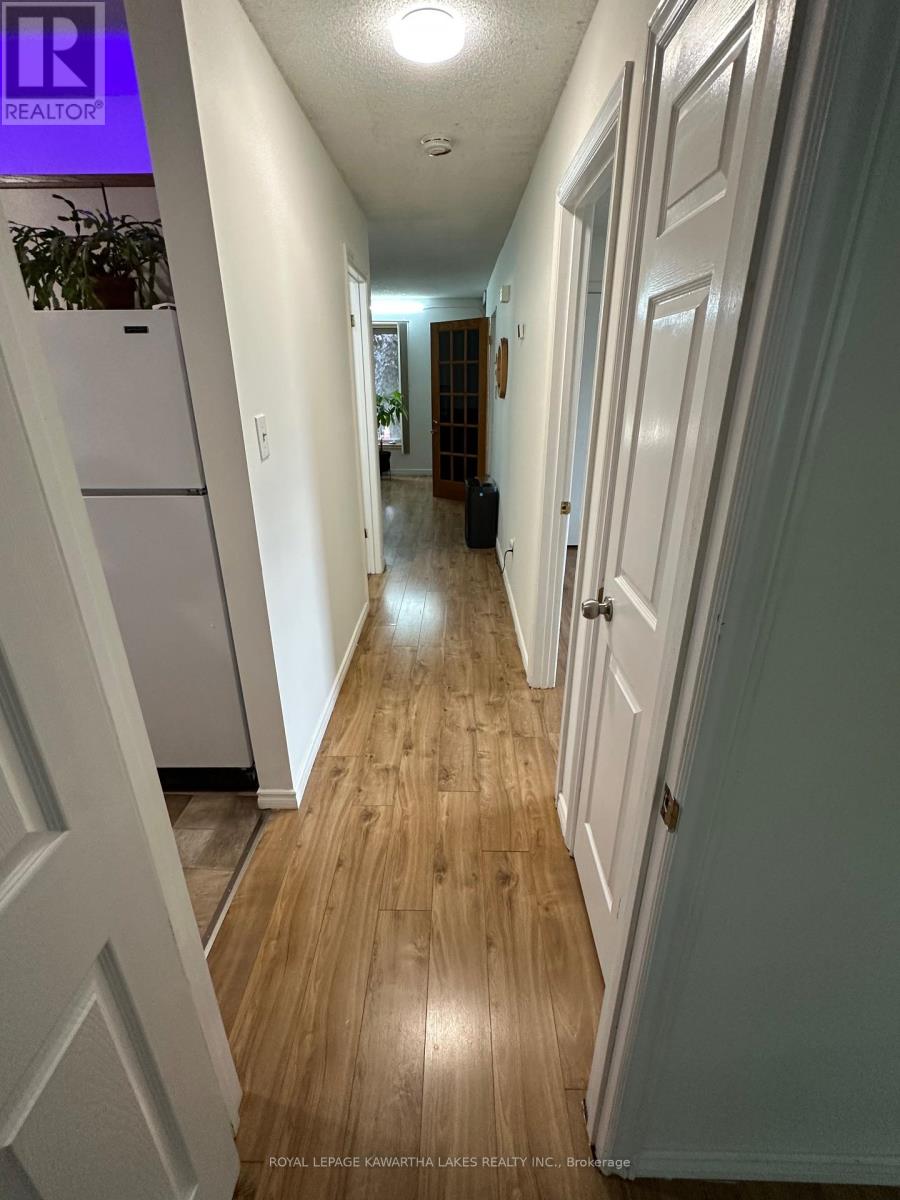 317 William Street N, Kawartha Lakes (Lindsay), Ontario  K9V 6A6 - Photo 16 - X12307505