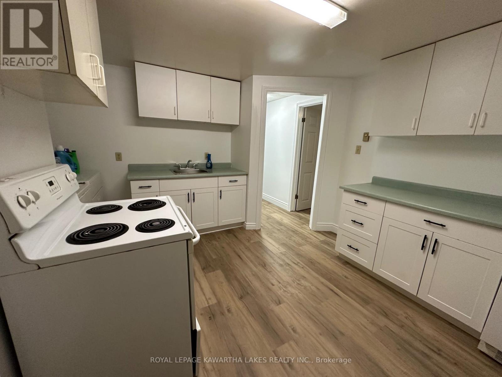 317 William Street N, Kawartha Lakes (Lindsay), Ontario  K9V 6A6 - Photo 27 - X12307505