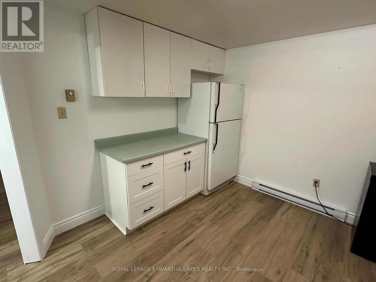 317 William Street N, Kawartha Lakes (Lindsay), Ontario  K9V 6A6 - Photo 28 - X12307505