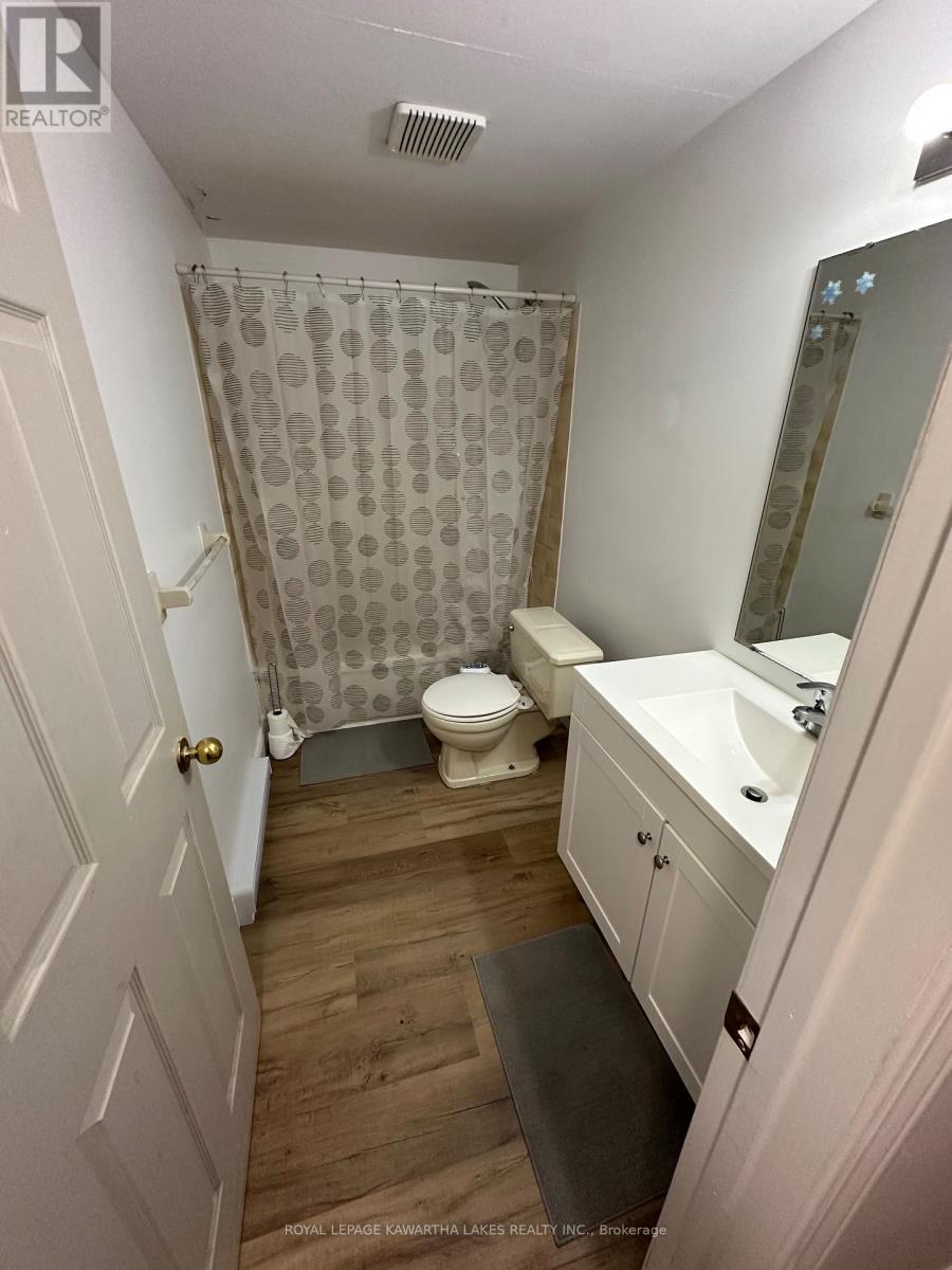317 William Street N, Kawartha Lakes (Lindsay), Ontario  K9V 6A6 - Photo 32 - X12307505