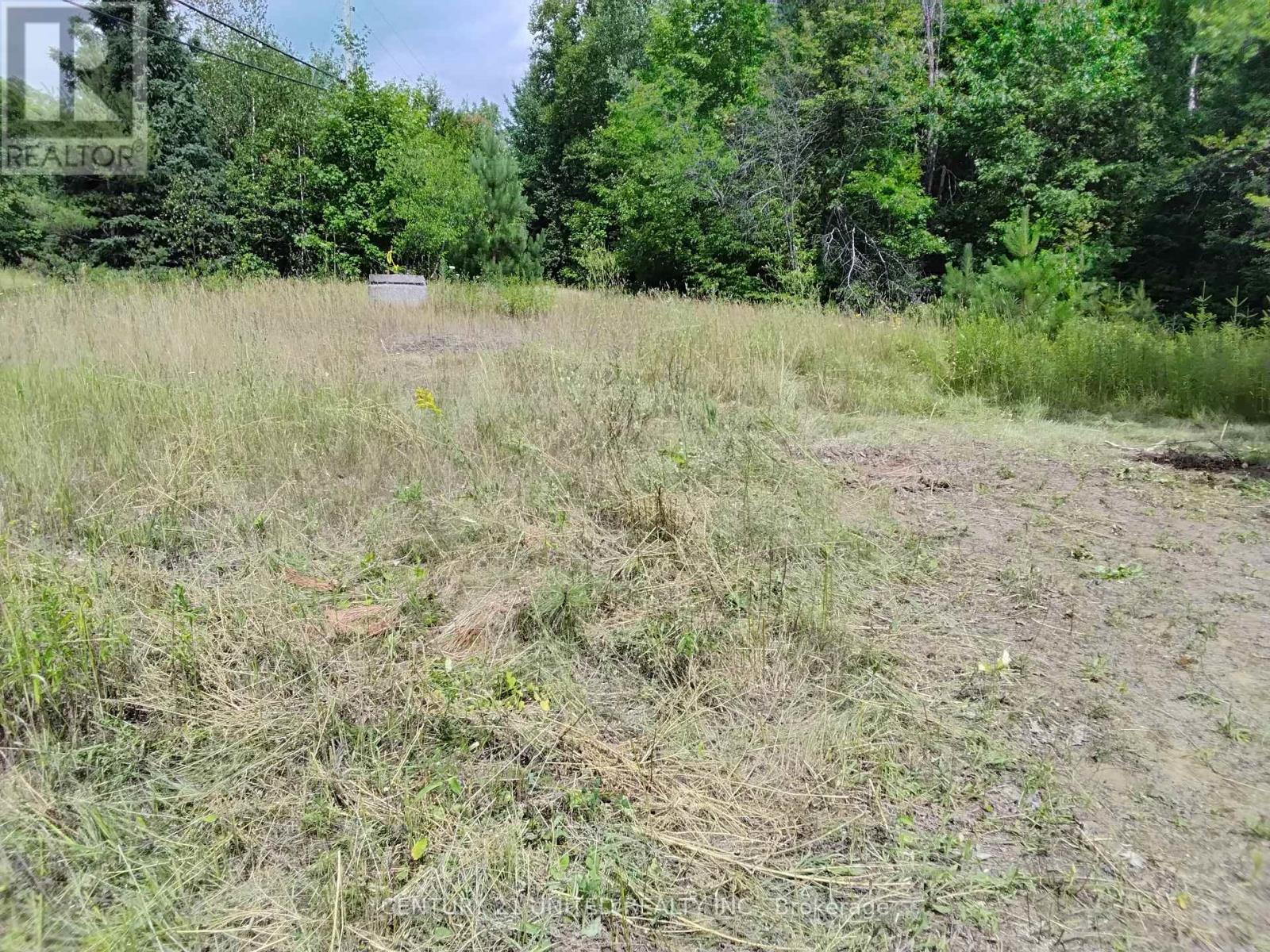 2039 County Road 620, North Kawartha, Ontario  K0L 1A0 - Photo 12 - X12307753