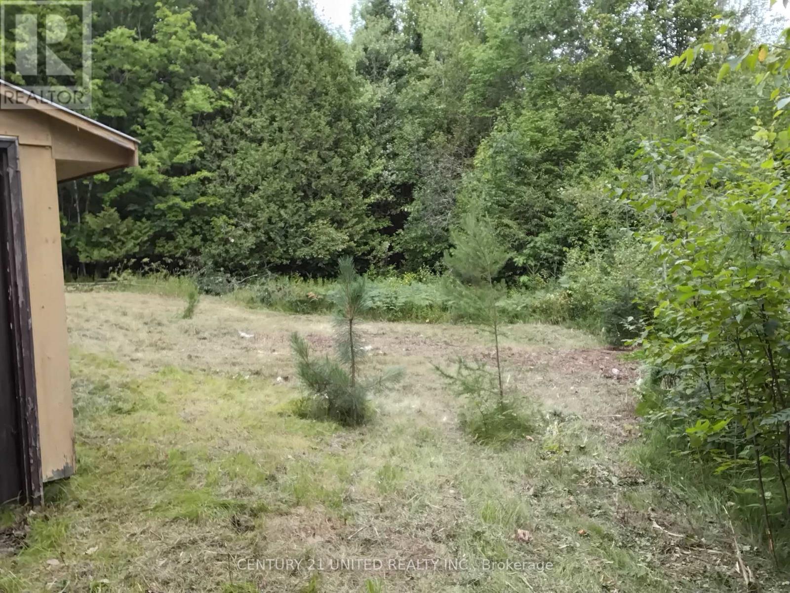 2039 County Road 620, North Kawartha, Ontario  K0L 1A0 - Photo 15 - X12307753