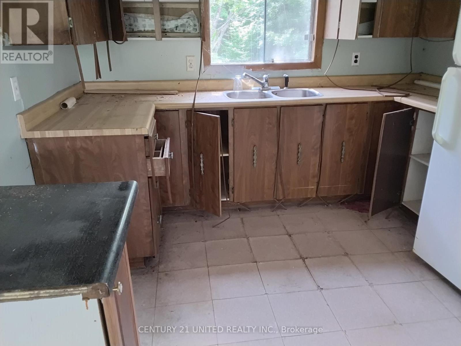 2039 County Road 620, North Kawartha, Ontario  K0L 1A0 - Photo 5 - X12307753