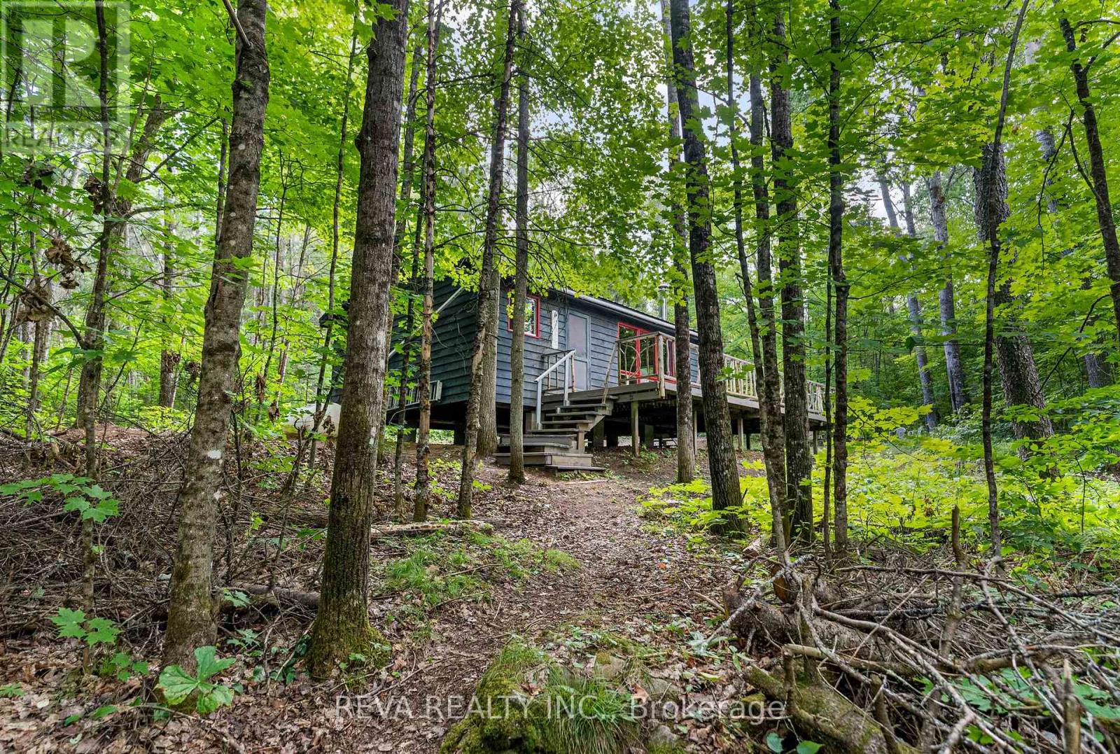 122 Soble Road, Hastings Highlands (Wicklow Ward), Ontario  K0L 2S0 - Photo 27 - X12307796