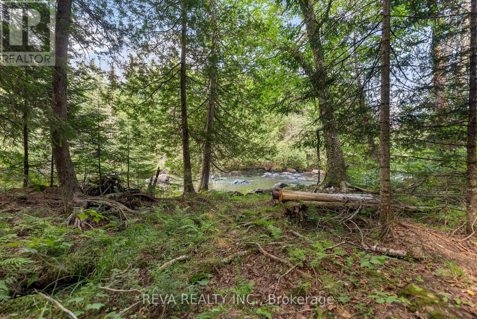 122 Soble Road, Hastings Highlands (Wicklow Ward), Ontario  K0L 2S0 - Photo 32 - X12307796
