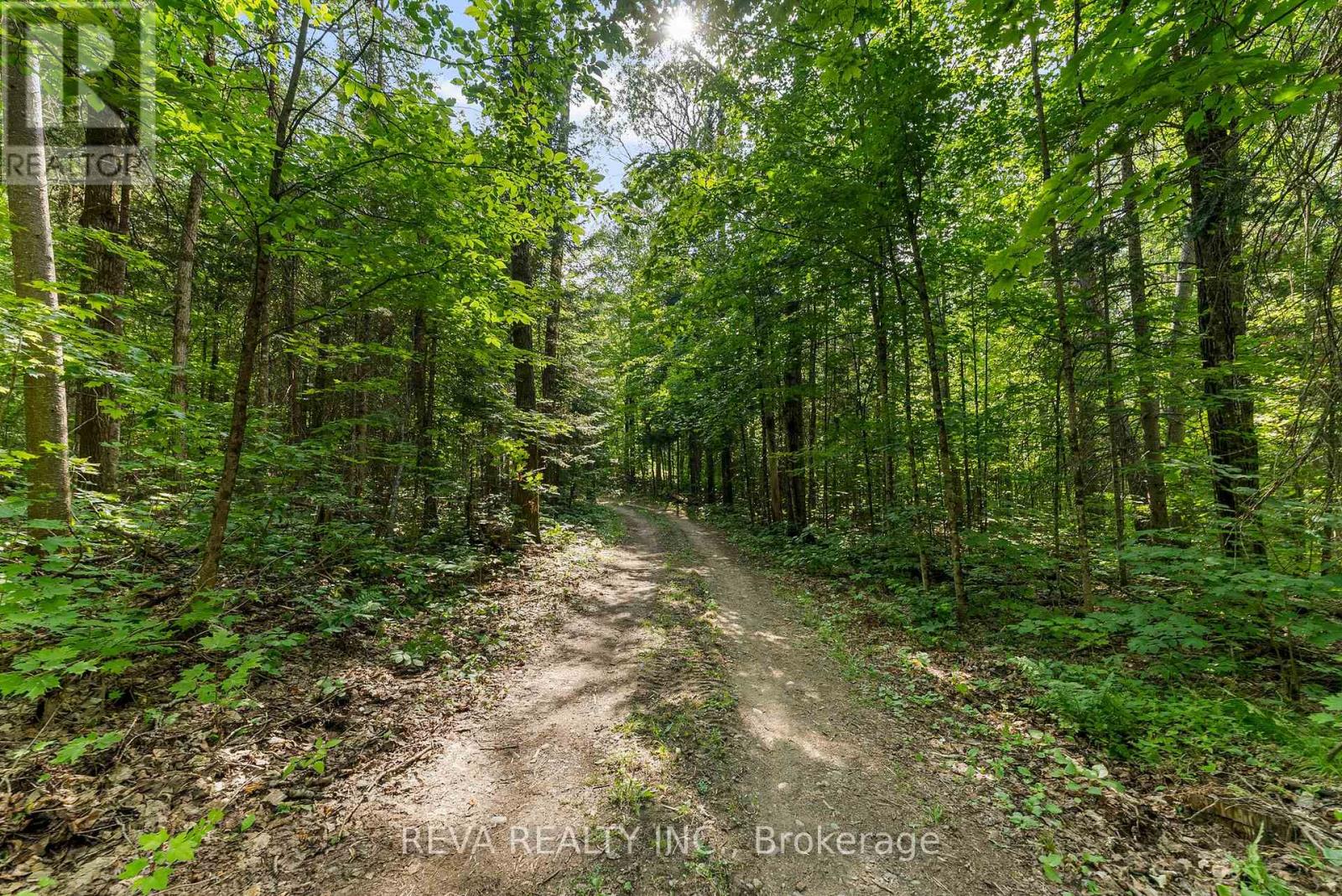 122 Soble Road, Hastings Highlands (Wicklow Ward), Ontario  K0L 2S0 - Photo 33 - X12307796
