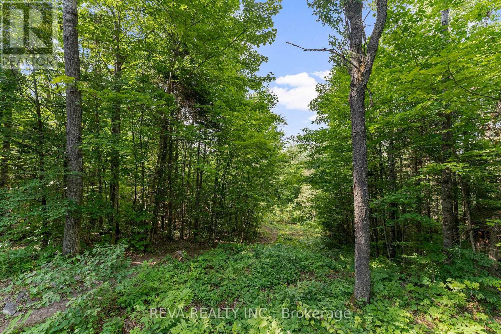 122 Soble Road, Hastings Highlands (Wicklow Ward), Ontario  K0L 2S0 - Photo 34 - X12307796