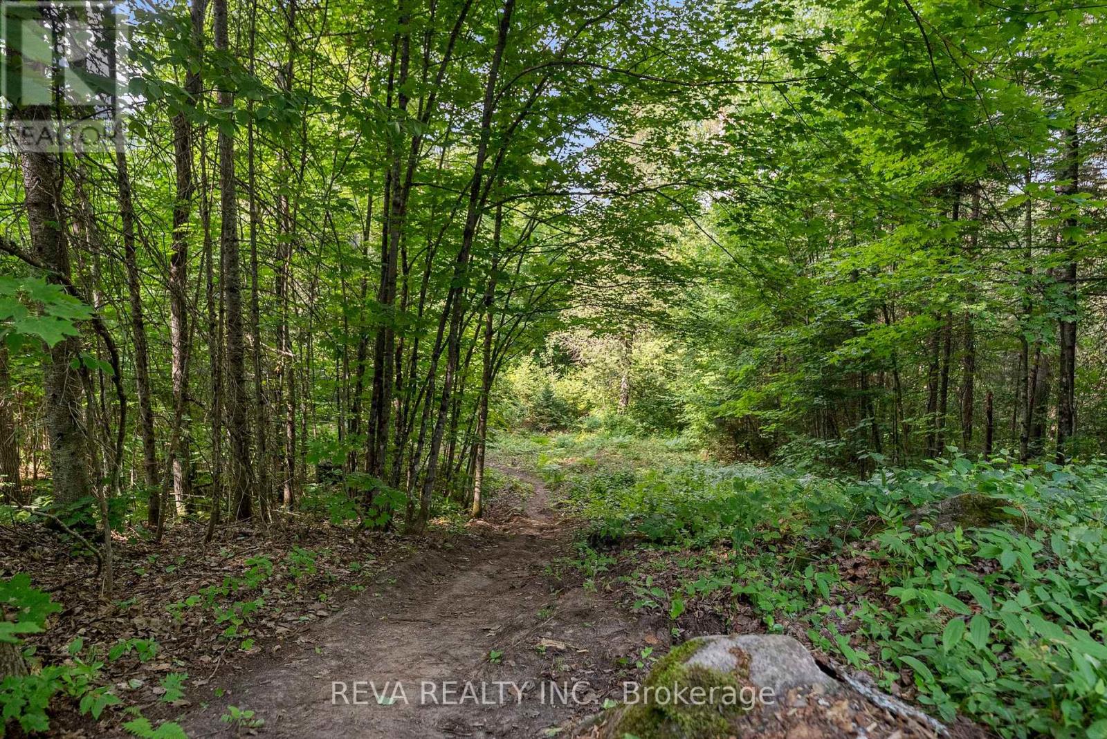 122 Soble Road, Hastings Highlands (Wicklow Ward), Ontario  K0L 2S0 - Photo 35 - X12307796