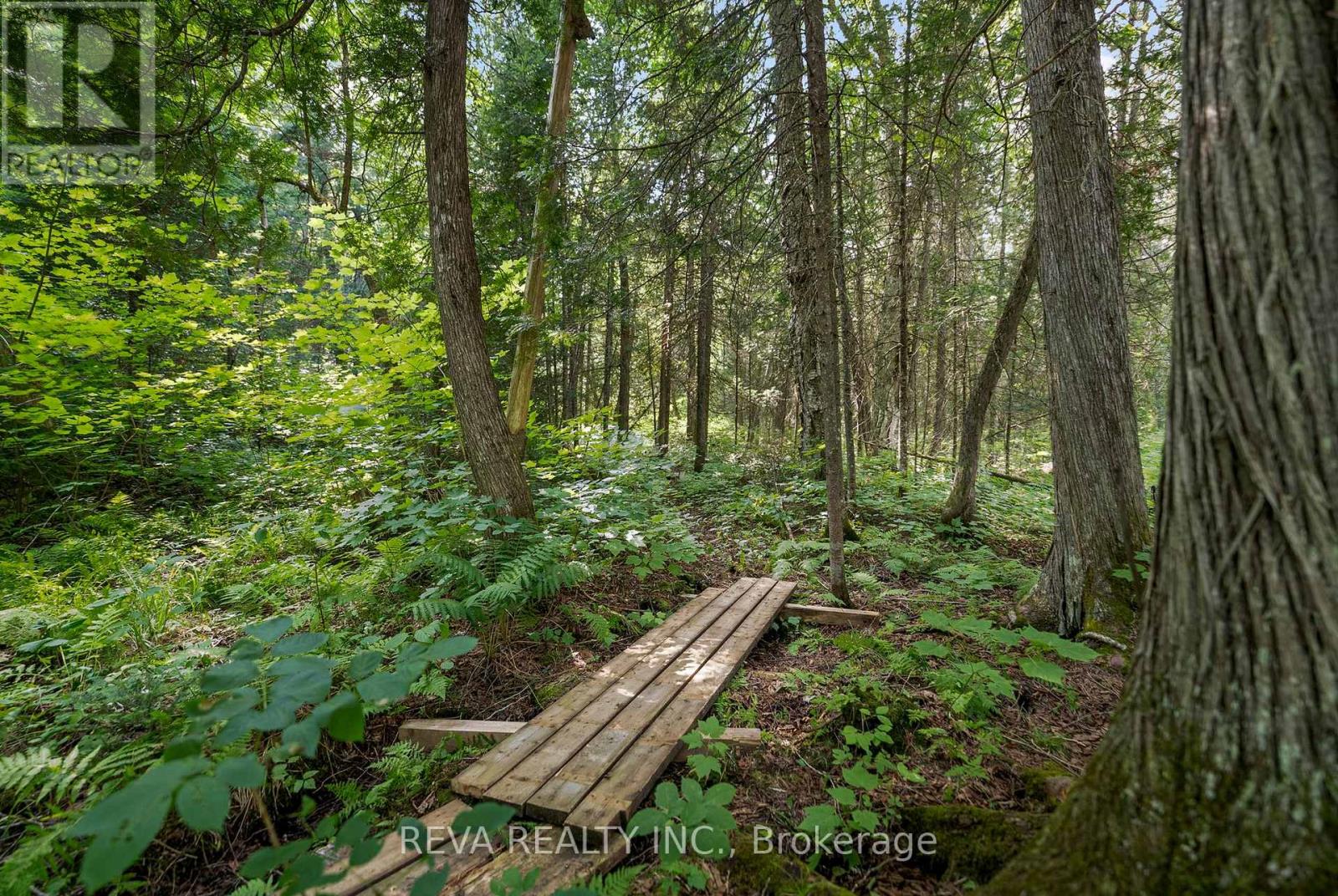 122 Soble Road, Hastings Highlands (Wicklow Ward), Ontario  K0L 2S0 - Photo 36 - X12307796