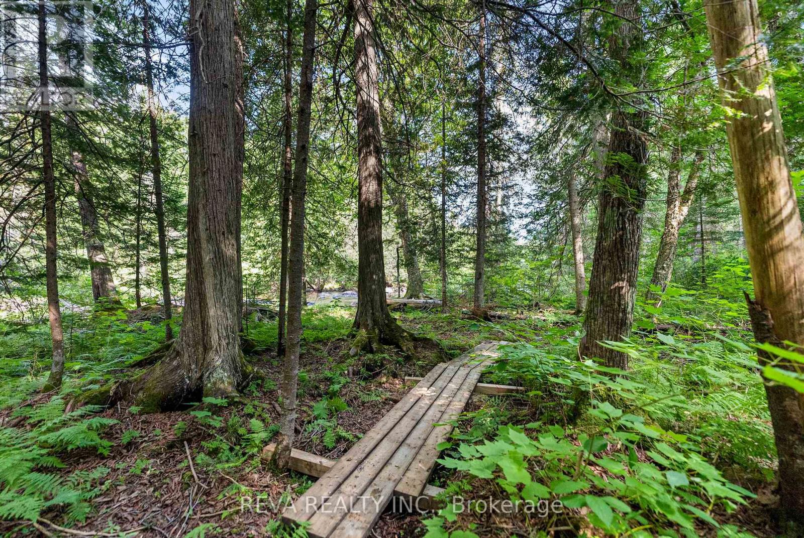 122 Soble Road, Hastings Highlands (Wicklow Ward), Ontario  K0L 2S0 - Photo 37 - X12307796