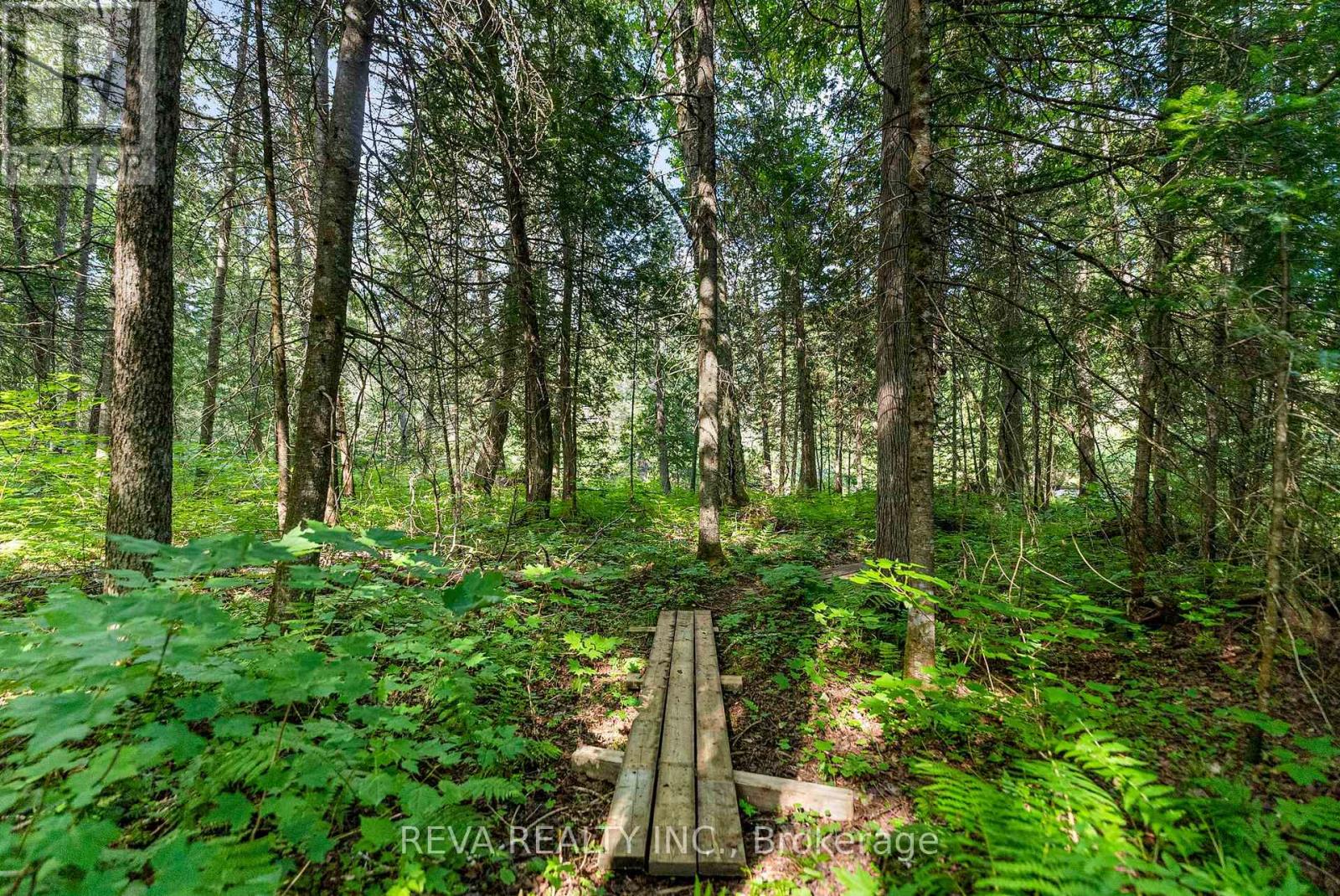 122 Soble Road, Hastings Highlands (Wicklow Ward), Ontario  K0L 2S0 - Photo 38 - X12307796