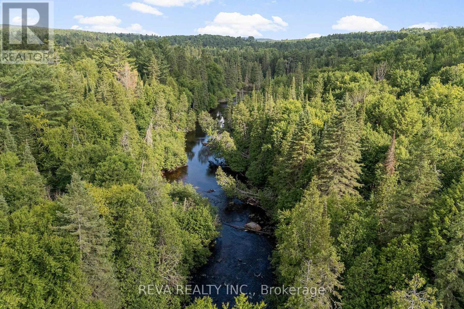122 Soble Road, Hastings Highlands (Wicklow Ward), Ontario  K0L 2S0 - Photo 4 - X12307796