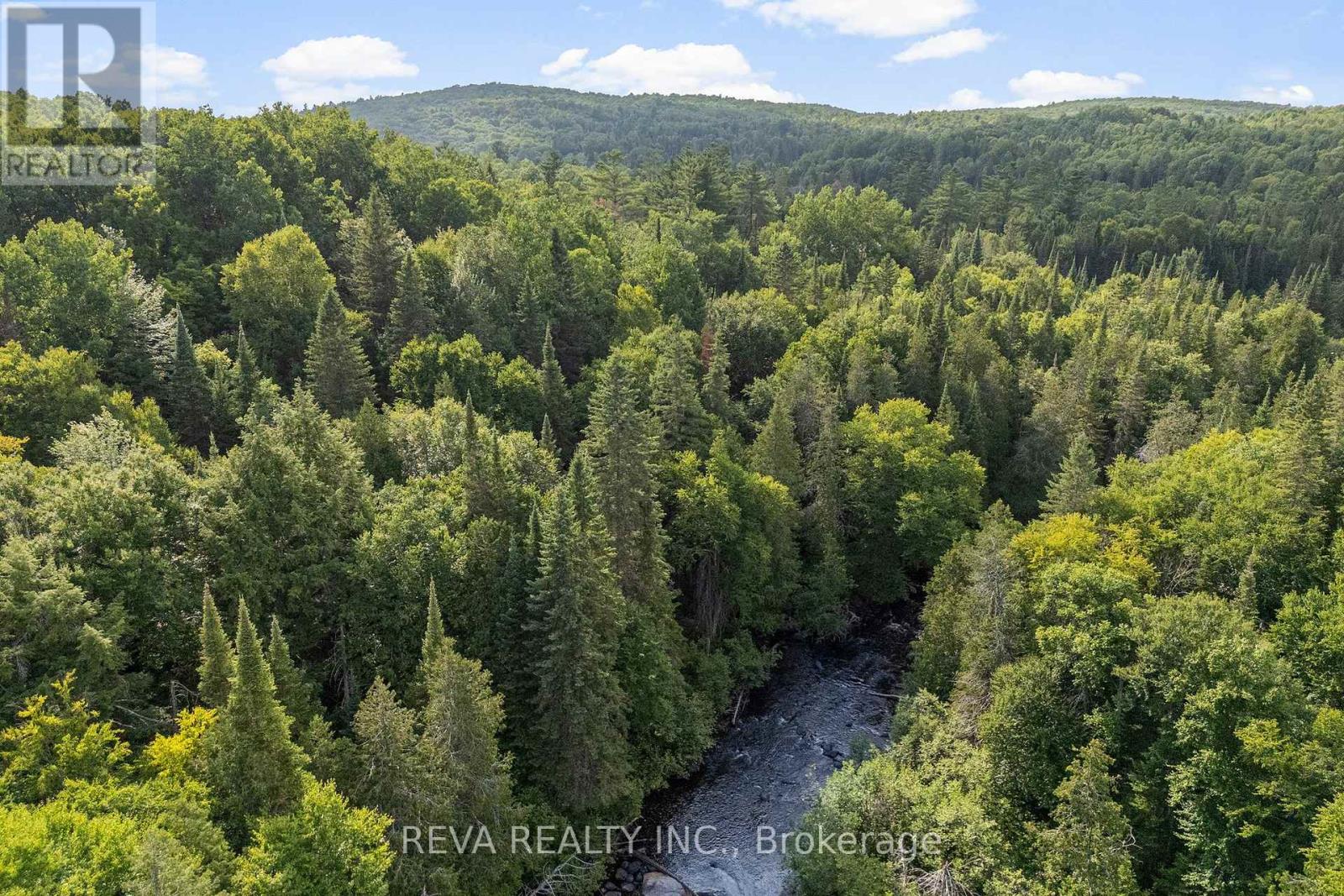 122 Soble Road, Hastings Highlands (Wicklow Ward), Ontario  K0L 2S0 - Photo 42 - X12307796