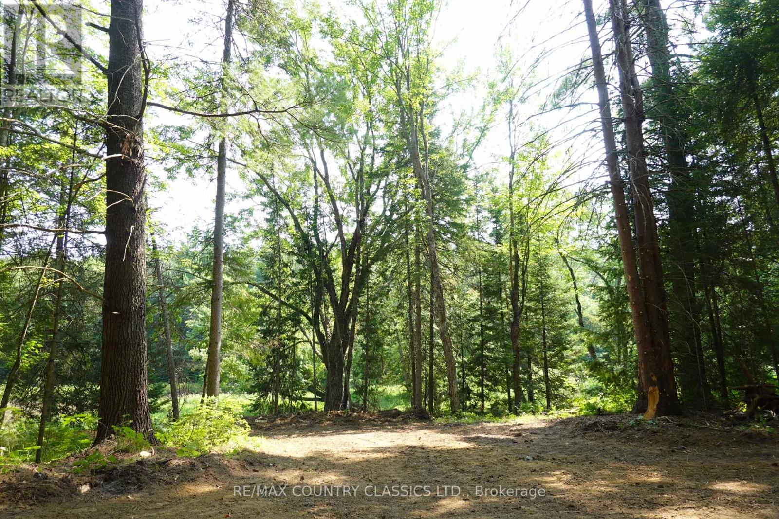 739b Bronson Road, Bancroft (Dungannon Ward), Ontario  K0L 1C0 - Photo 11 - X12308360