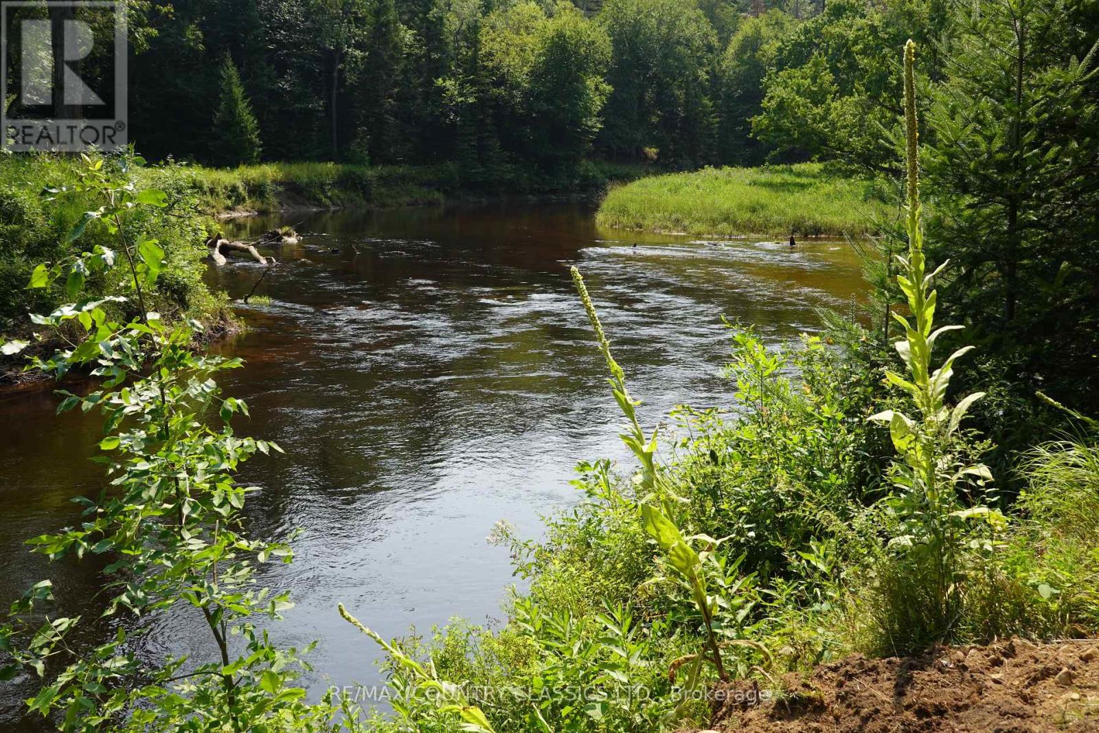 739b Bronson Road, Bancroft (Dungannon Ward), Ontario  K0L 1C0 - Photo 13 - X12308360