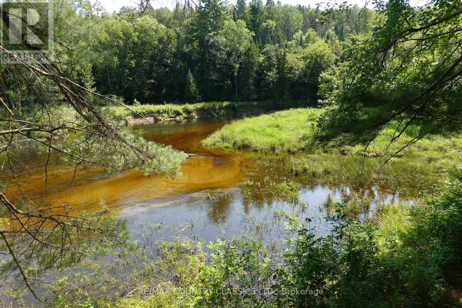 739b Bronson Road, Bancroft (Dungannon Ward), Ontario  K0L 1C0 - Photo 15 - X12308360