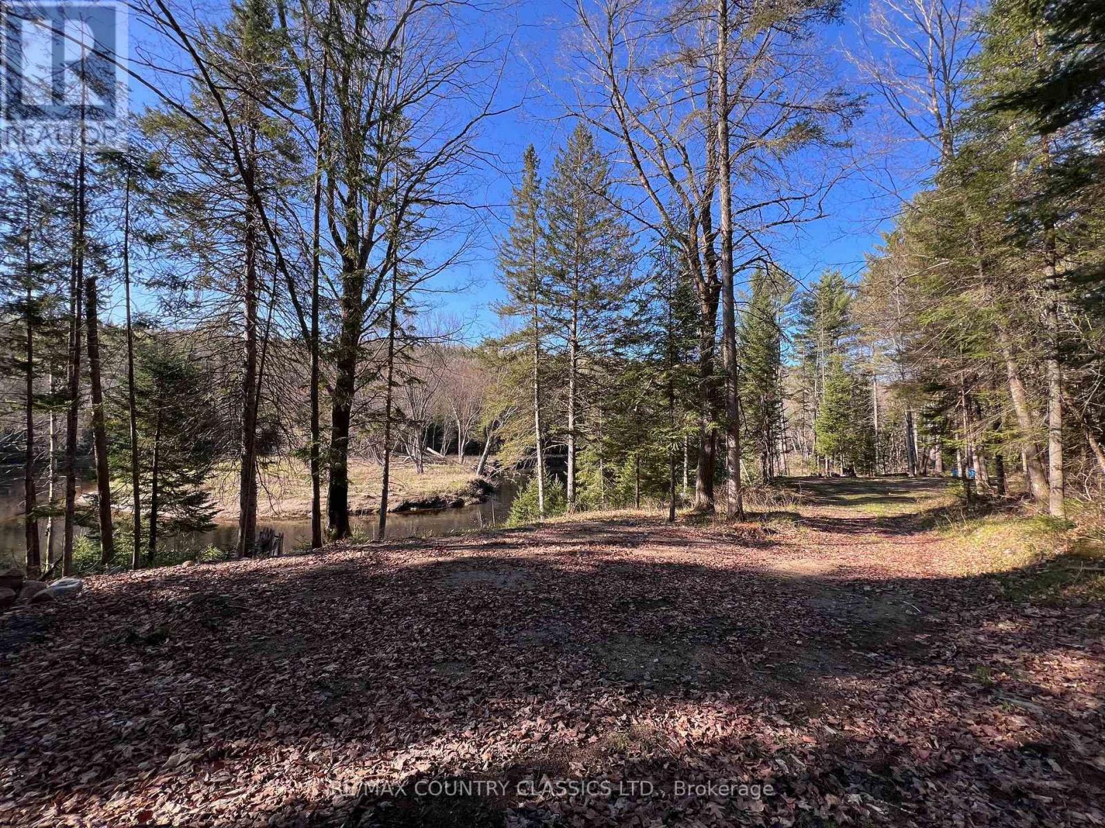 739b Bronson Road, Bancroft (Dungannon Ward), Ontario  K0L 1C0 - Photo 18 - X12308360