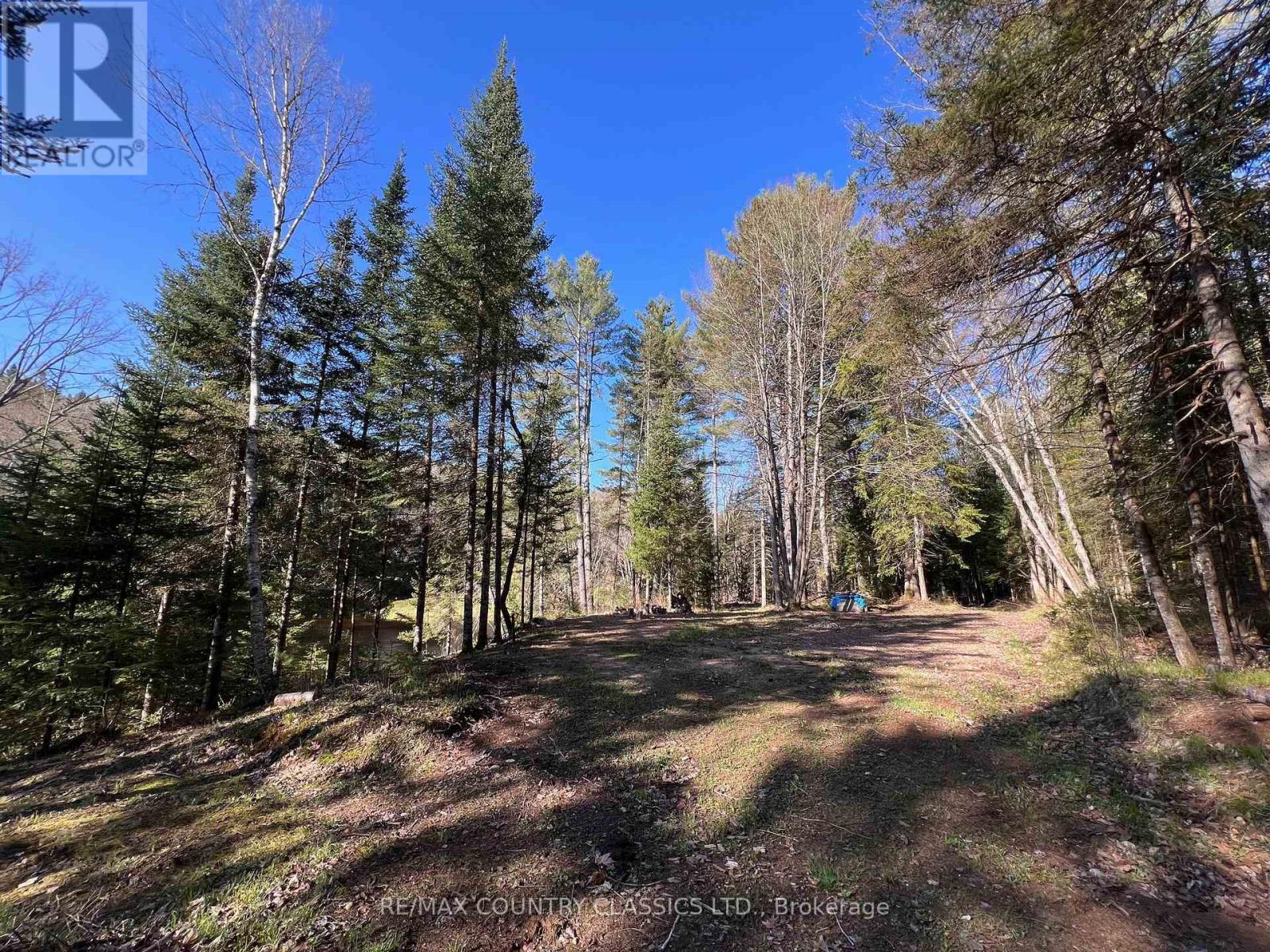 739b Bronson Road, Bancroft (Dungannon Ward), Ontario  K0L 1C0 - Photo 19 - X12308360