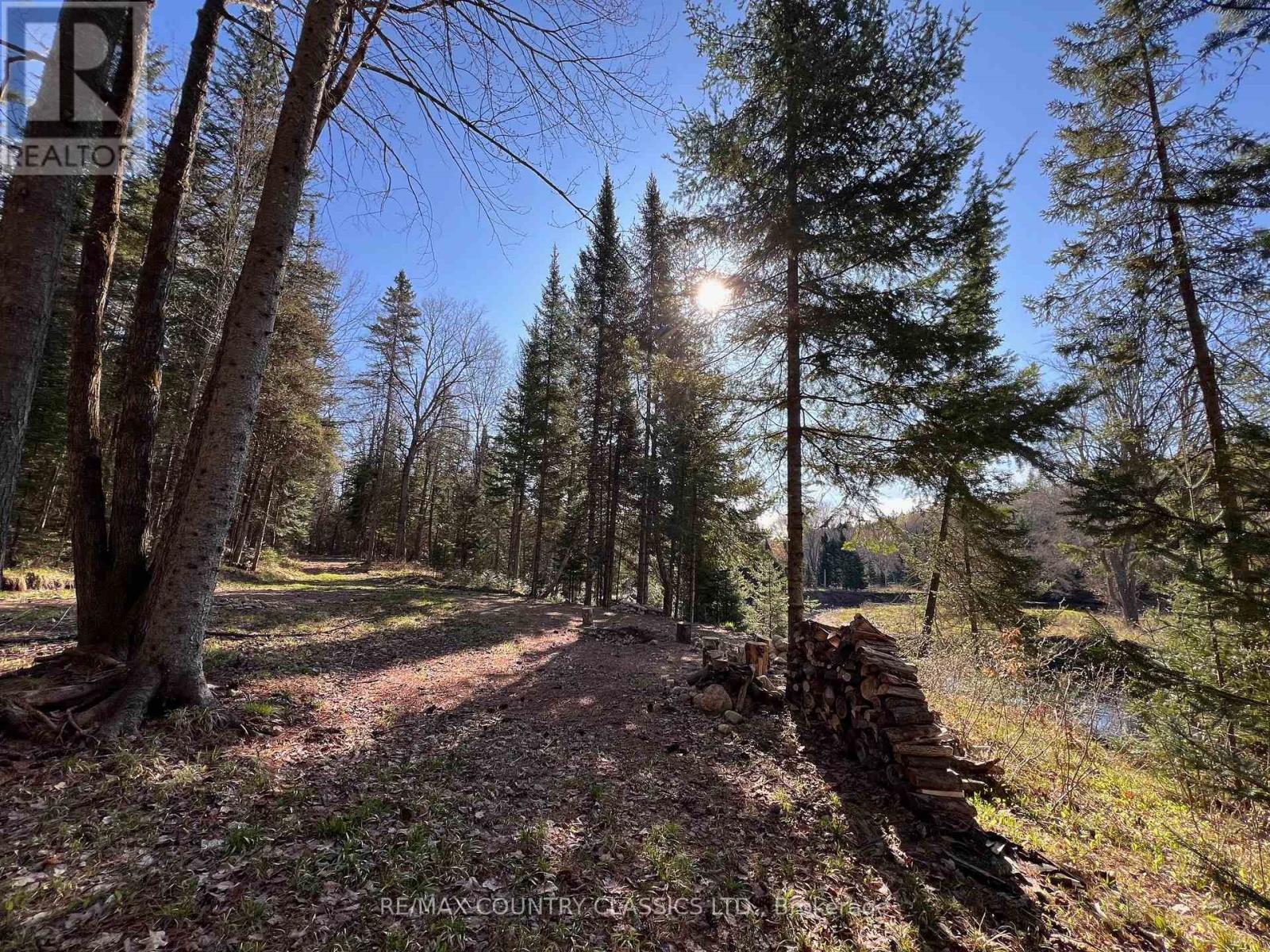 739b Bronson Road, Bancroft (Dungannon Ward), Ontario  K0L 1C0 - Photo 20 - X12308360