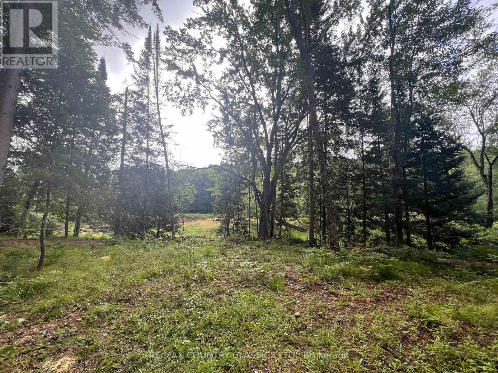 739b Bronson Road, Bancroft (Dungannon Ward), Ontario  K0L 1C0 - Photo 21 - X12308360