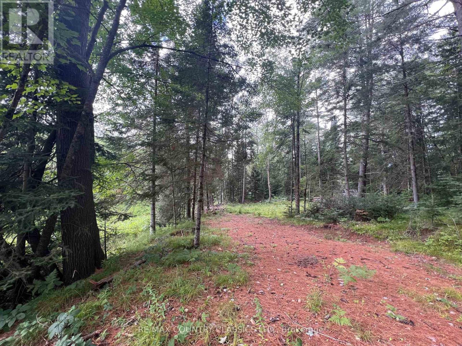 739b Bronson Road, Bancroft (Dungannon Ward), Ontario  K0L 1C0 - Photo 23 - X12308360