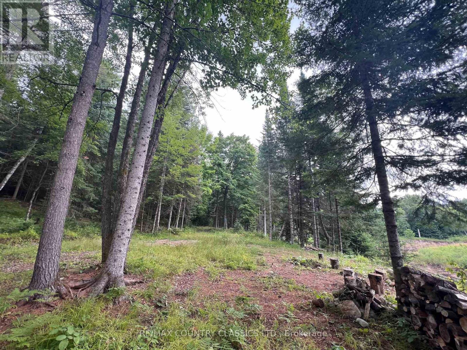 739b Bronson Road, Bancroft (Dungannon Ward), Ontario  K0L 1C0 - Photo 24 - X12308360