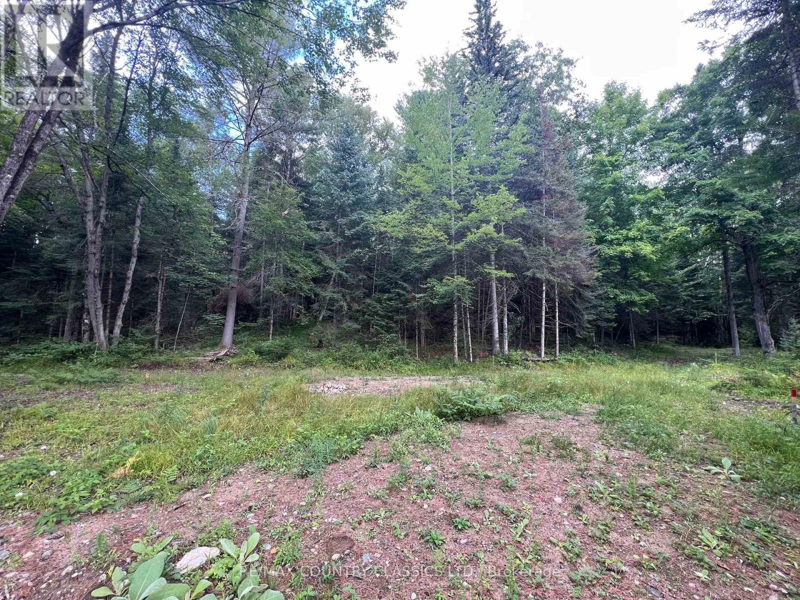 739b Bronson Road, Bancroft (Dungannon Ward), Ontario  K0L 1C0 - Photo 25 - X12308360