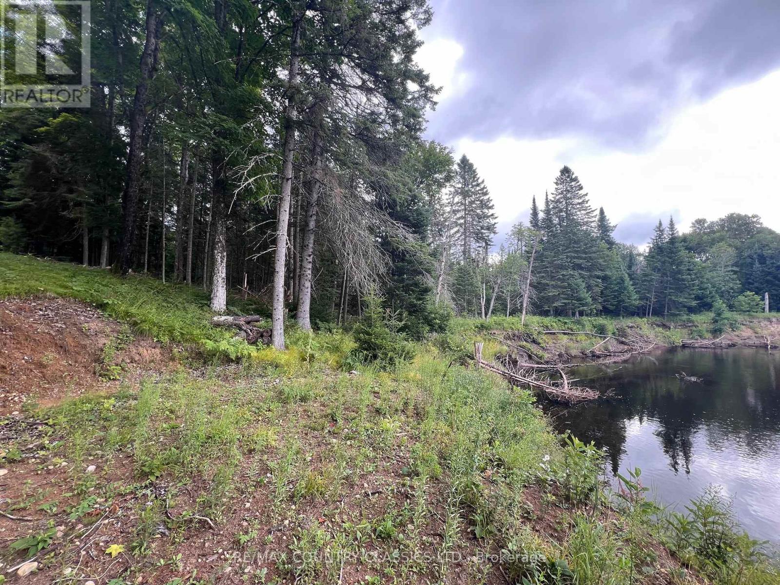 739b Bronson Road, Bancroft (Dungannon Ward), Ontario  K0L 1C0 - Photo 26 - X12308360