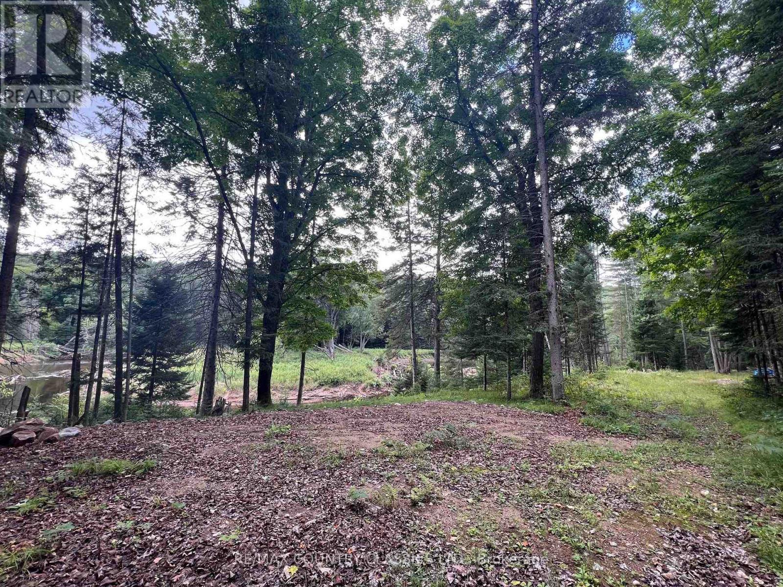 739b Bronson Road, Bancroft (Dungannon Ward), Ontario  K0L 1C0 - Photo 27 - X12308360