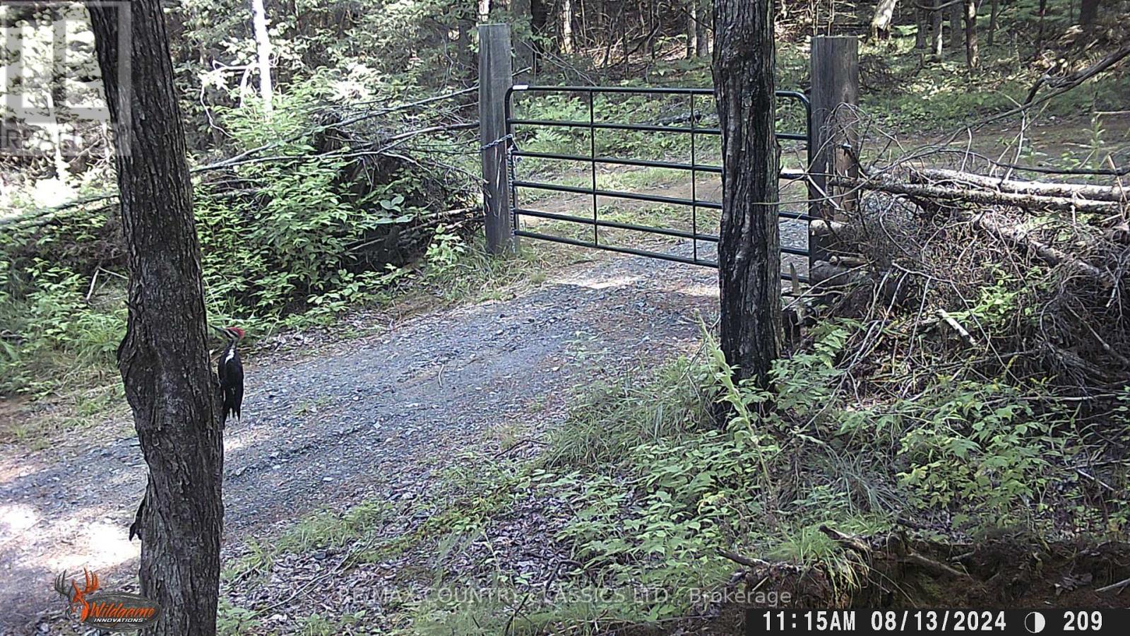 739b Bronson Road, Bancroft (Dungannon Ward), Ontario  K0L 1C0 - Photo 28 - X12308360