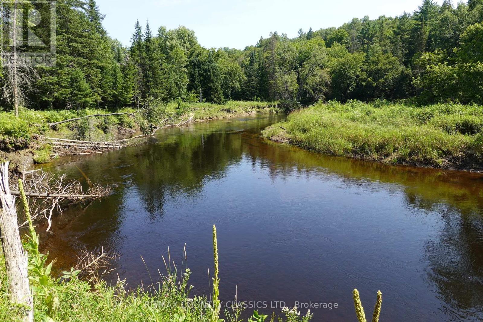 739b Bronson Road, Bancroft (Dungannon Ward), Ontario  K0L 1C0 - Photo 4 - X12308360