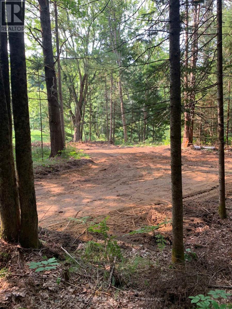 739b Bronson Road, Bancroft (Dungannon Ward), Ontario  K0L 1C0 - Photo 41 - X12308360