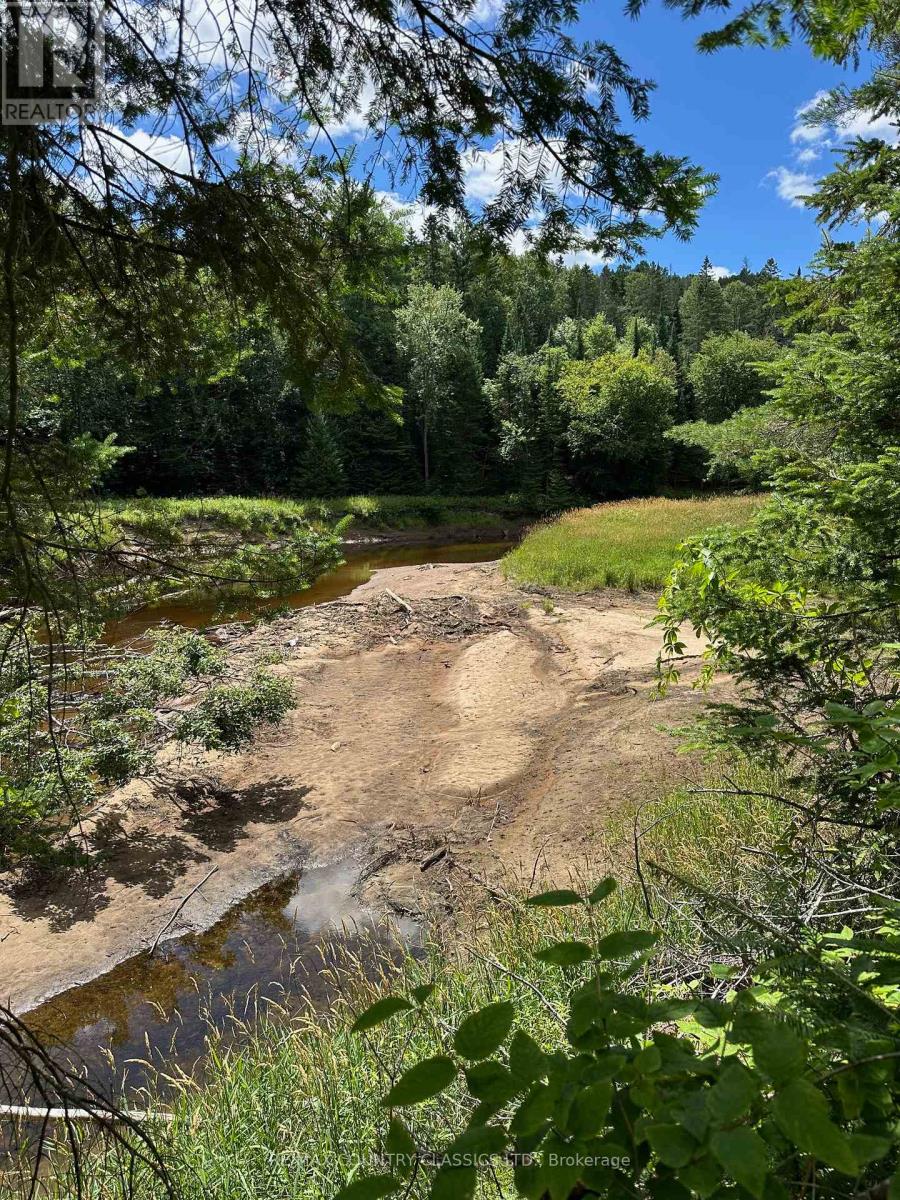 739b Bronson Road, Bancroft (Dungannon Ward), Ontario  K0L 1C0 - Photo 43 - X12308360