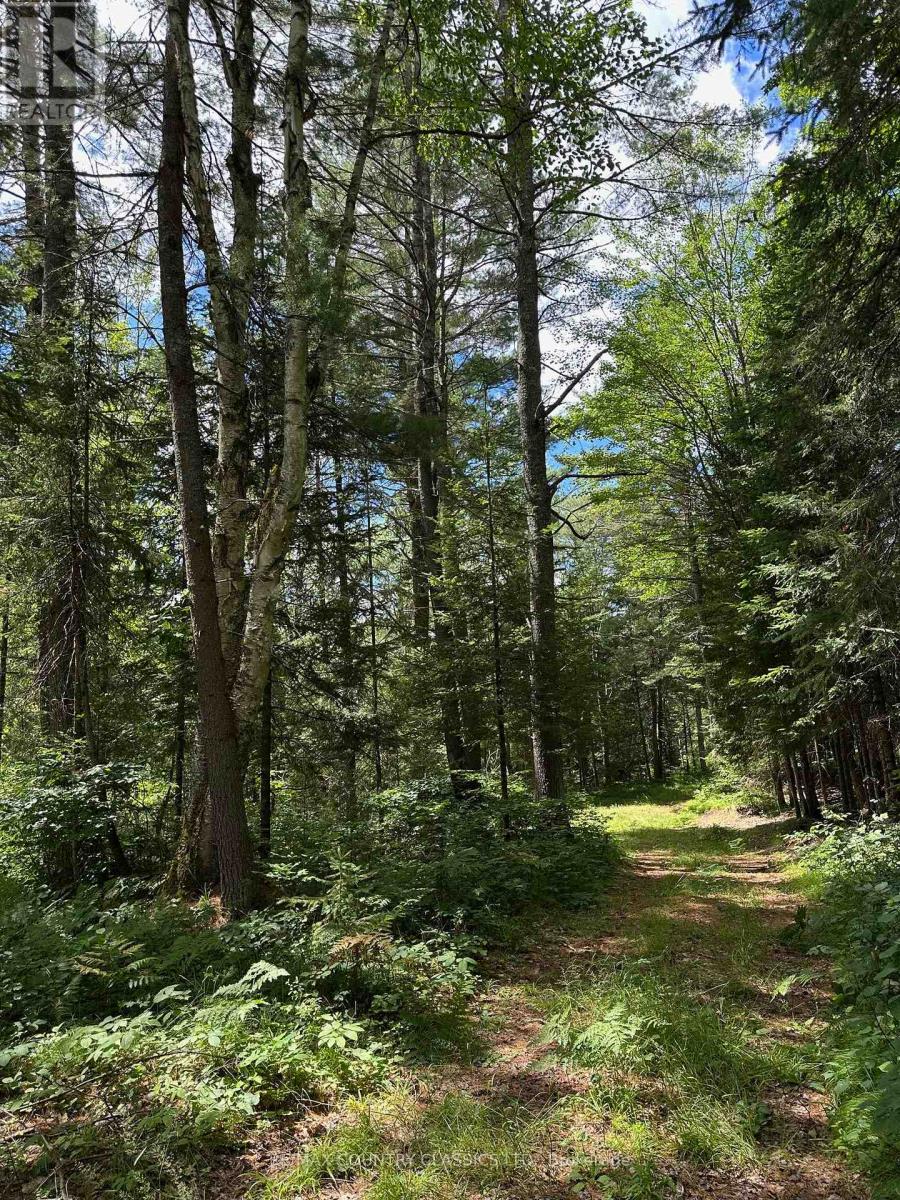 739b Bronson Road, Bancroft (Dungannon Ward), Ontario  K0L 1C0 - Photo 44 - X12308360