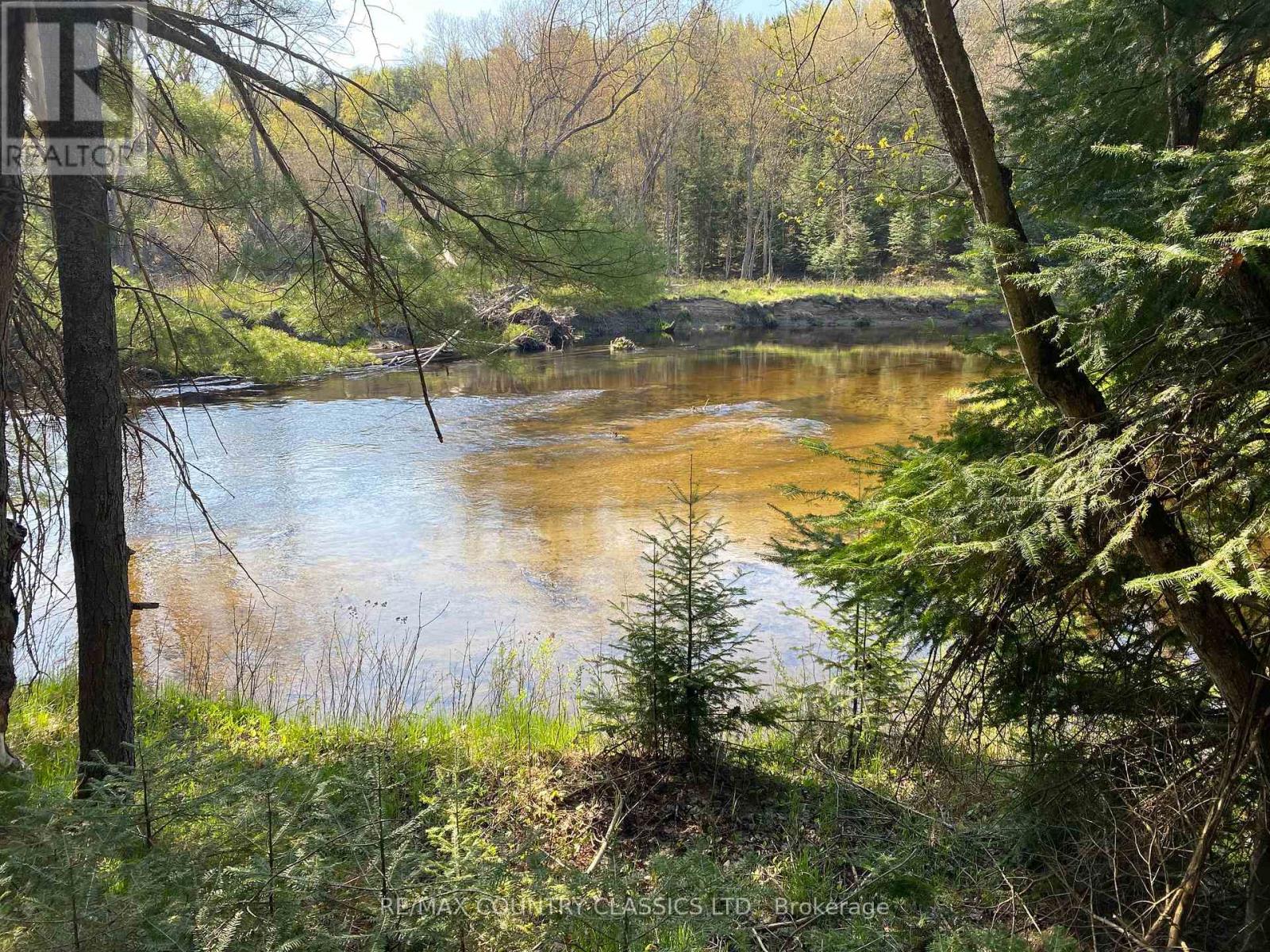 739b Bronson Road, Bancroft (Dungannon Ward), Ontario  K0L 1C0 - Photo 45 - X12308360